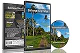 Fitness Reisen - Balinesische Reisfelder, Radfahren und Laufband-Training